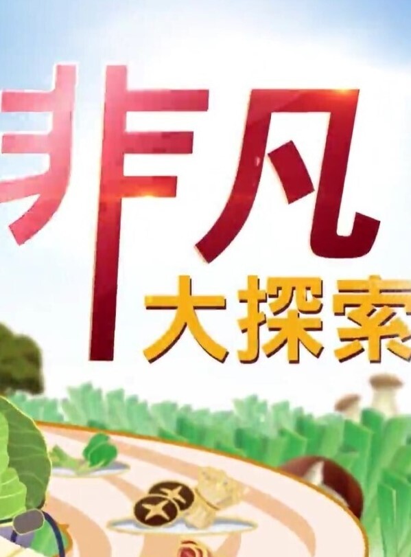精品偷拍美女被操的满口淫语大叫喜欢你操我鸡巴又粗又长把我小骚逼都操开了好痒啊 - 在线快播海报