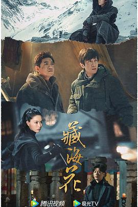 青青草久久视频在线 - 在线快播海报